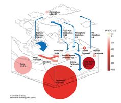 Globaler Kreislauf des schwarzen Kohlenstoffs in grossen Reservoirs.
Quelle: (Grafik: MELS/SIVIC, UZH) (idw)