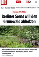 Der Grunewald soll für Windräder abgeholzt werden - Natuschutz kontra Klimaschutz (Symbolbild)
