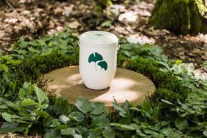 Die biologisch abbaubare FriedWald-Urne  Bild: FriedWald GmbH Fotograf: FriedWald GmbH
