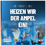Bild: AfD Deutschland