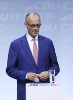 Friedrich Merz  (2025)