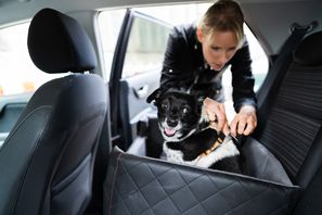 Bild: Getty Images/iStockphoto Fotograf: AndreyPopov