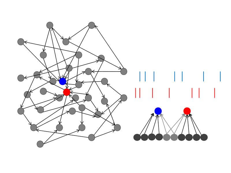 Schematische Darstellung eines neuronalen Netzwerks und der neuronalen