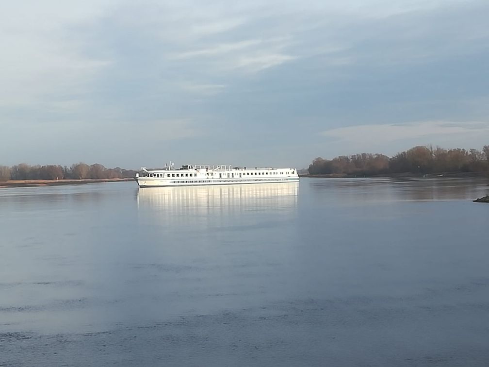 Schiffsunfall Elbe Bild: Polizei