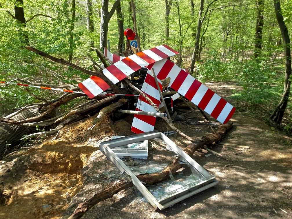 Barrikade der Umweltaktivisten im Hambacher Forst