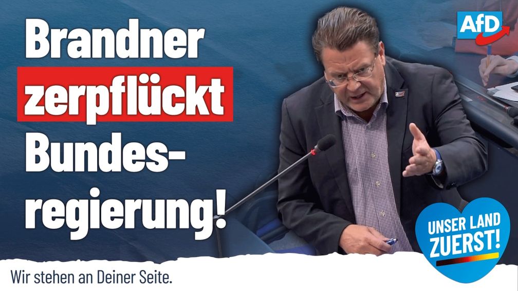 Bild: AfD Deutschland