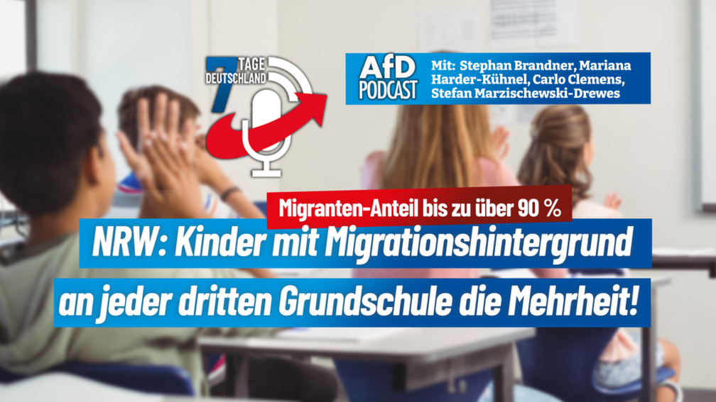 Bild: AfD Deutschland