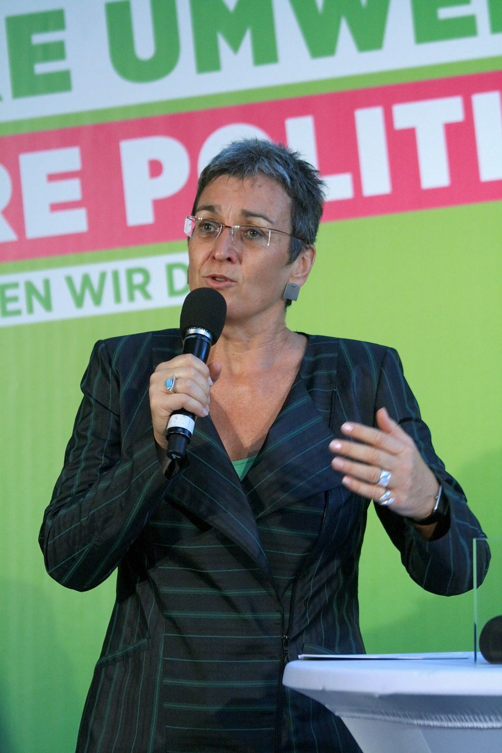 Ulrike Lunacek (2013)