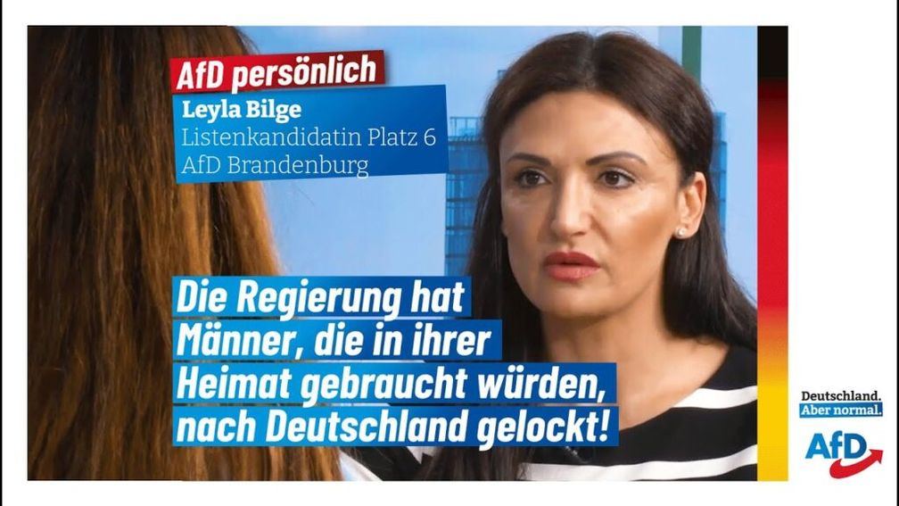 Bild: AfD Deutschland