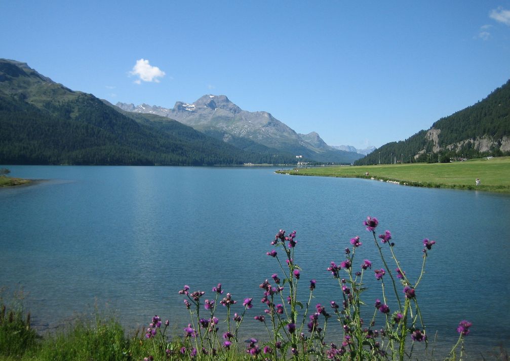 Silvaplanersee