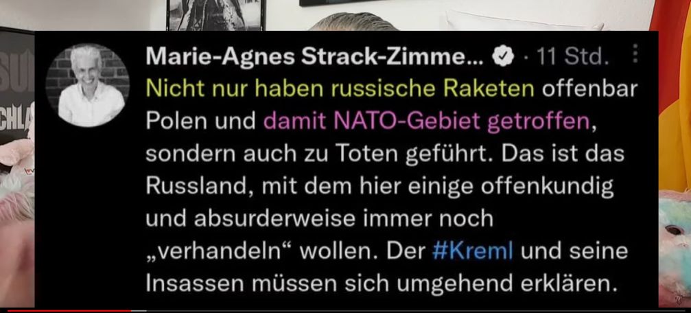 Bild: Screenshot Twitter Strack-Zimmermann / Tim Kellner / Eigenes Werk