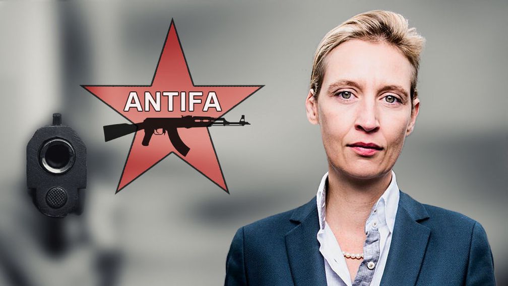 Dr. Alice Weidel (2019)