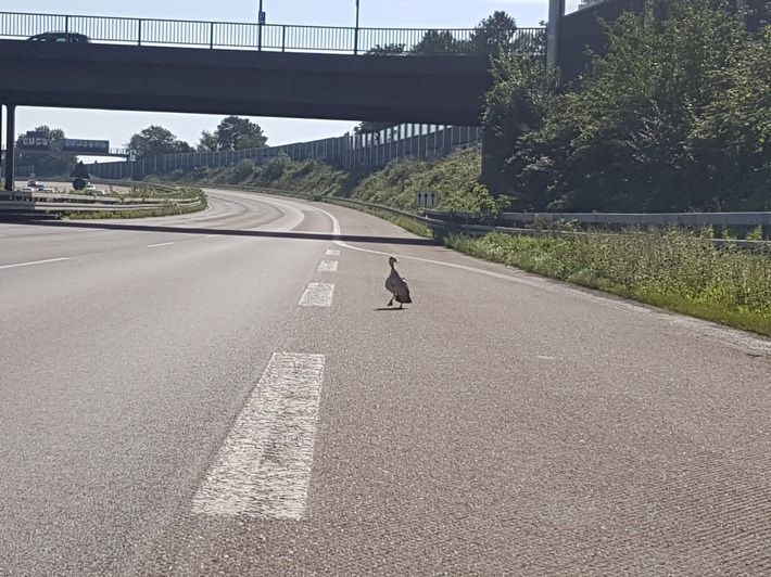 Köln Autobahn Gesperrt