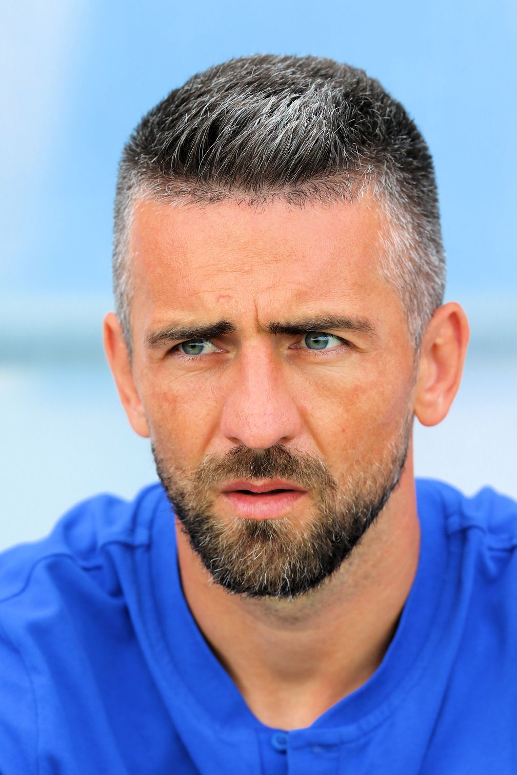 Vedad Ibisevic  (2019)