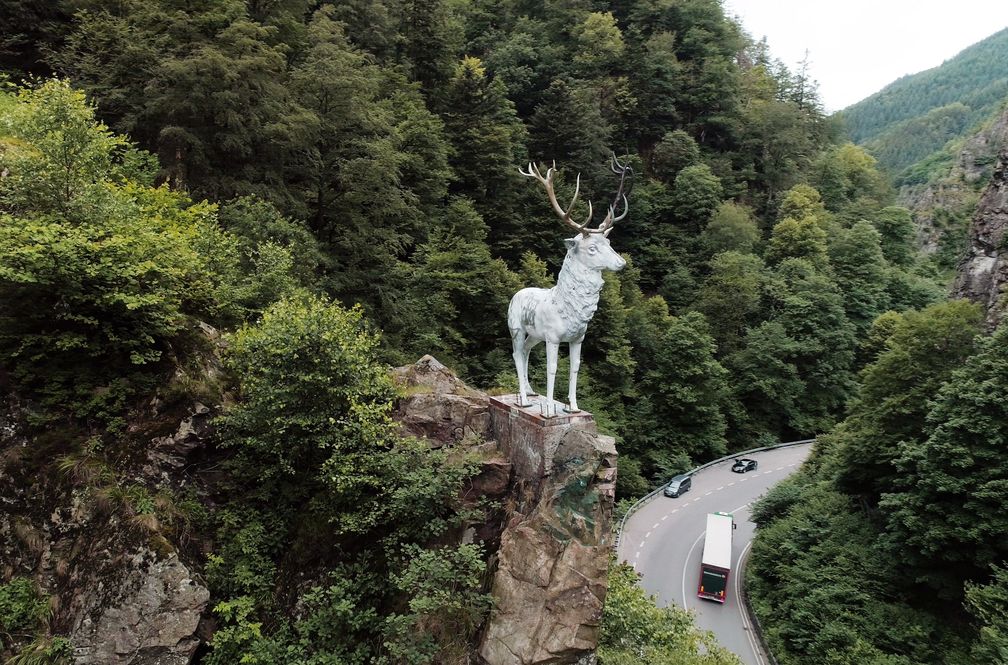 Der berühmte Hirsch im Höllental - Symbol des Schwarzwalds.Bild: "obs/SWR - Südwestrundfunk"