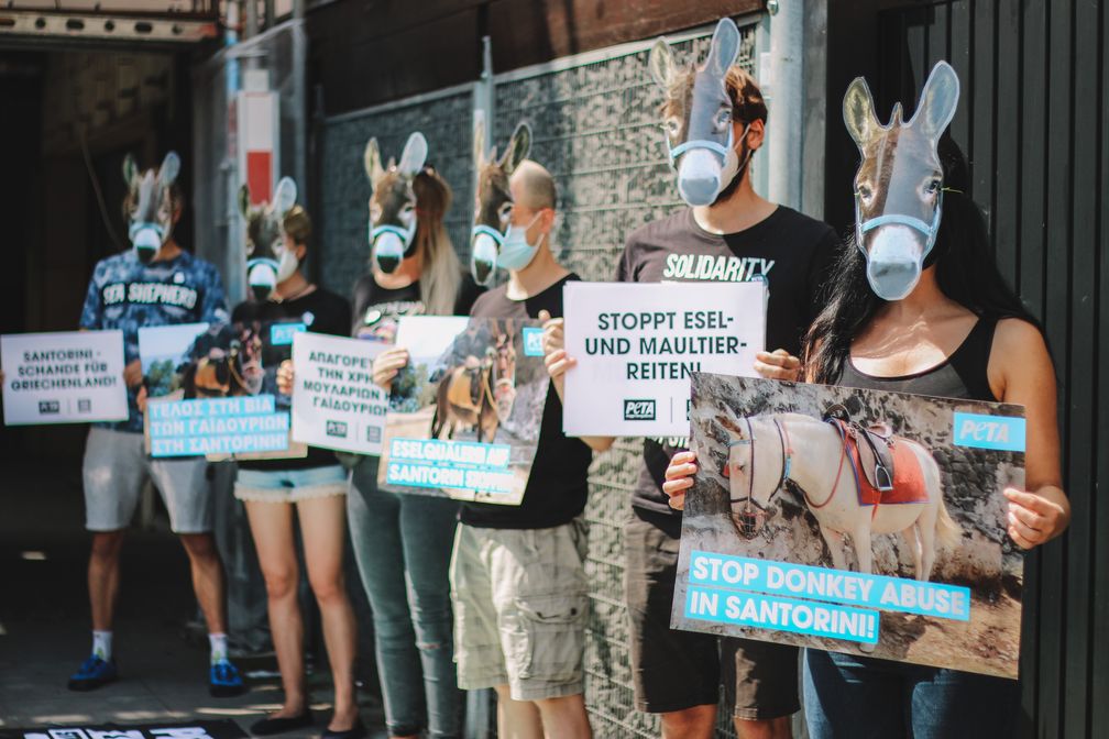 In Stuttgart positionierten sich Aktive mit Eselmasken vor dem griechischen Konsulat Bild: © PETA Deutschland e.V. Fotograf: PETA Deutschland e.V.