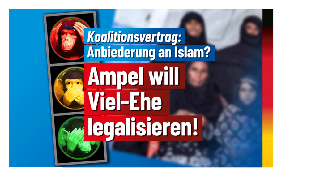 Bild: AfD Deutschland