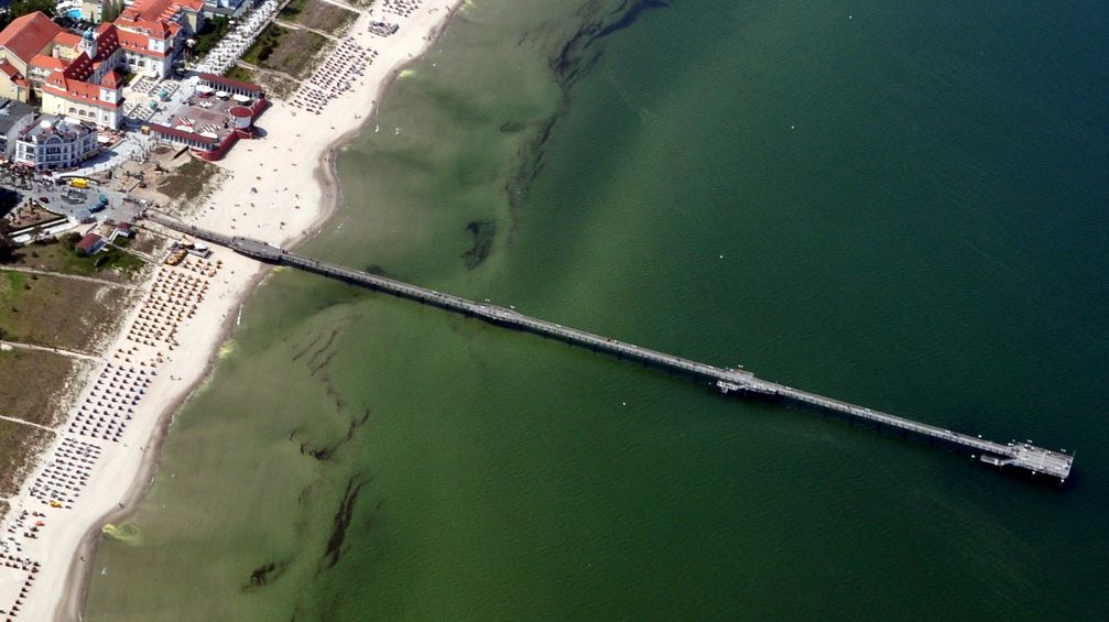 Die Seebrücke in Binz (2011)