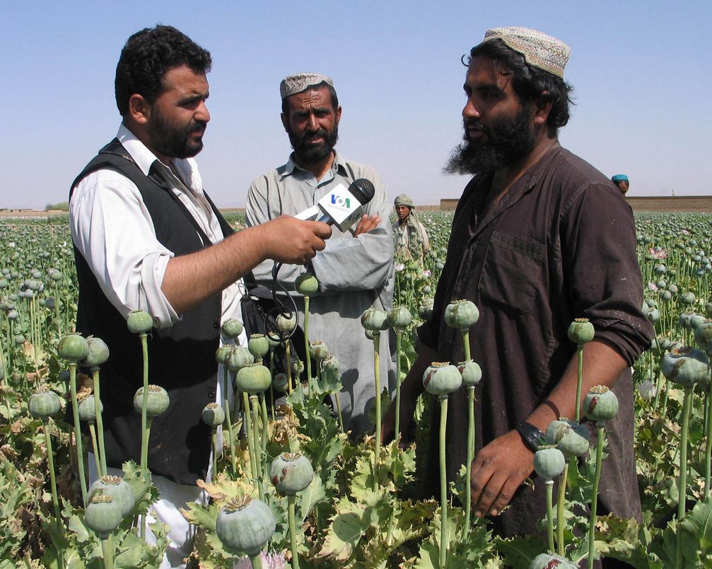 Afghanischer Mohnbauer in seinem Feld