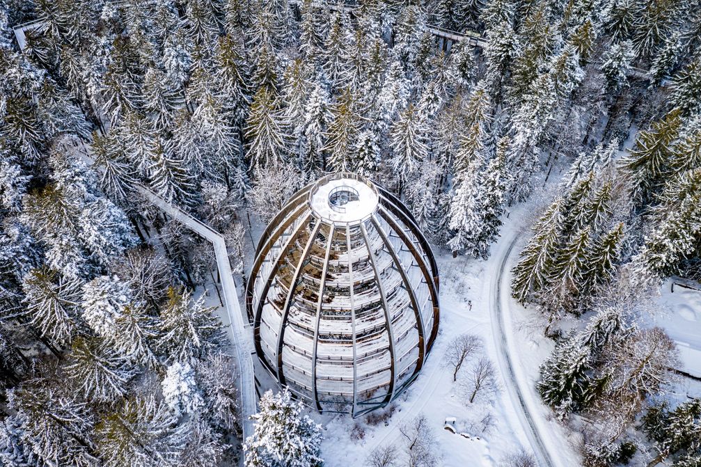 Baumwipfelpfad im Nationalpark Bayerischer Wald