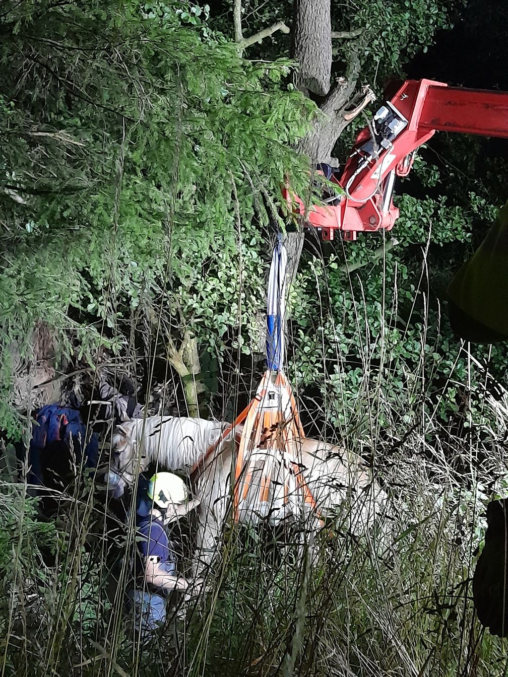 Bild: Feuerwehr