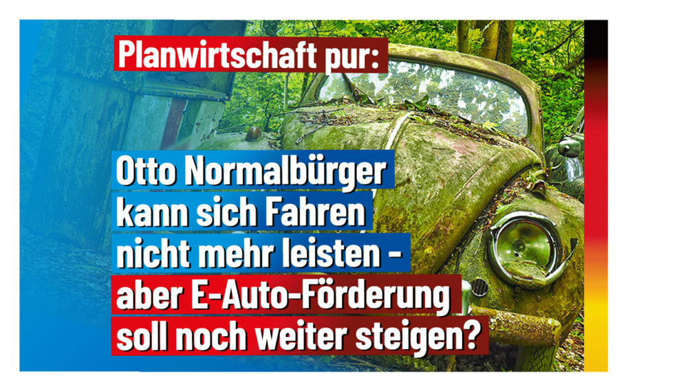 Bild: AfD Deutschland