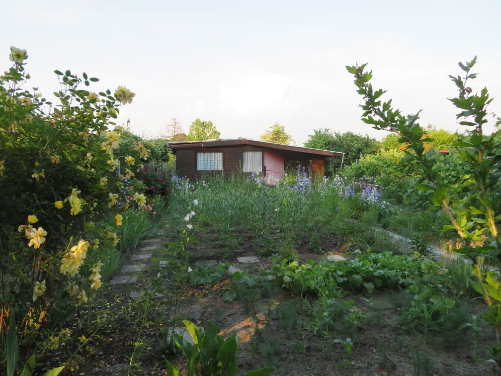 Schrebergarten mit Gartenhaus