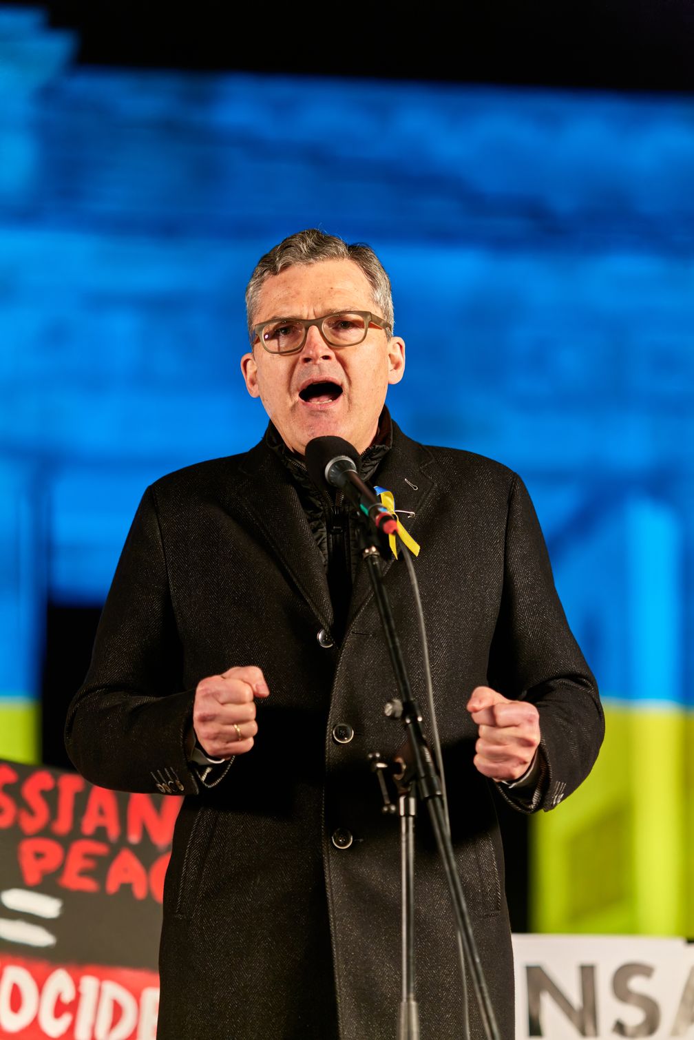 Roderich Kiesewetter (2025)