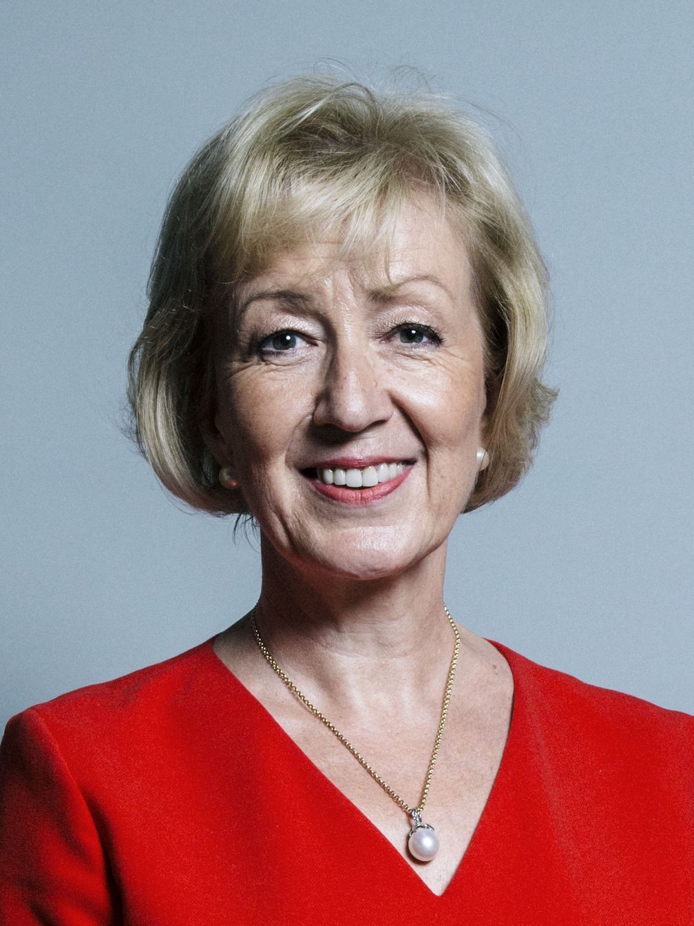 Andrea Leadsom (2017)