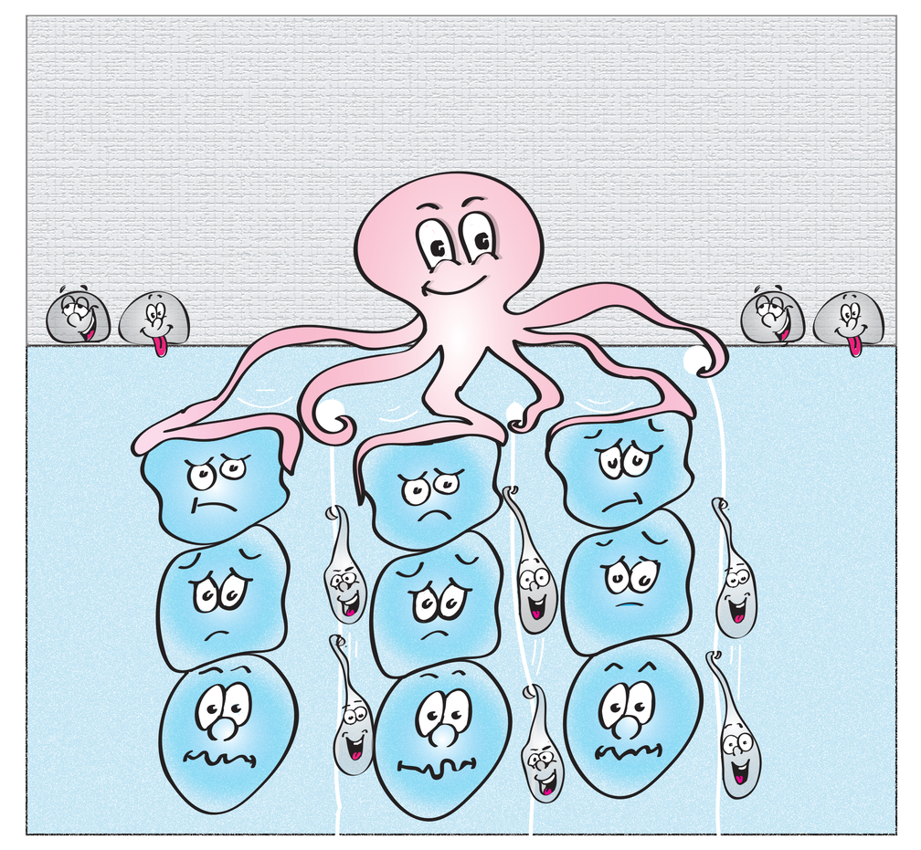 Illu Segregationsprozess: Der Oktopus steht für das Aktin-Organisationszentrum der Zebrafisch-Eizelle. Dieses zieht gleichzeitig Cytoplasma-Päckchen nach oben und drückt Dottergranulate nach unten
Quelle: IST Austria/Justine Renno (idw)