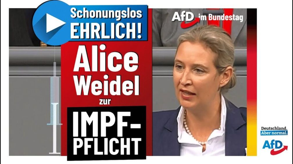 Bild: AfD Deutschland