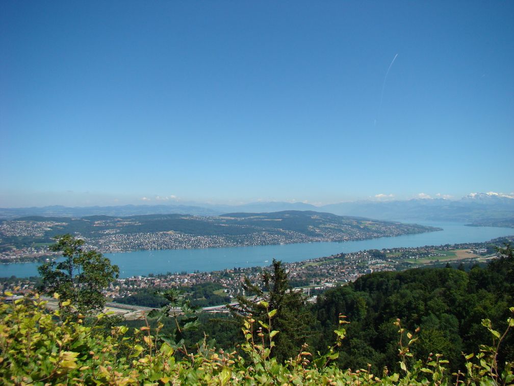 Zürichsee vom Uetliberg aus gesehen