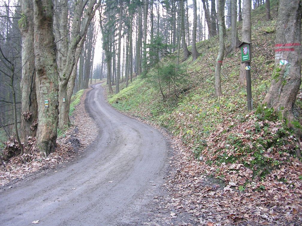 Waldweg