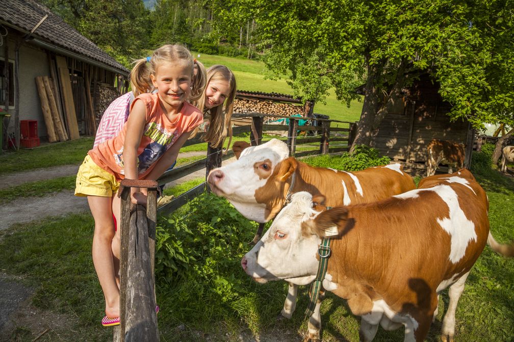 Bild: Urlaub am Bauernhof im Salzburger Land Fotograf: Bernd Suppan