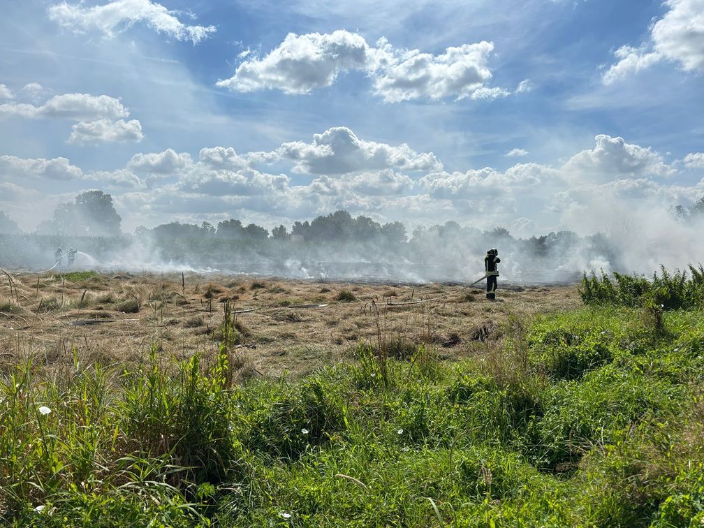 Foto: Sven Janssen