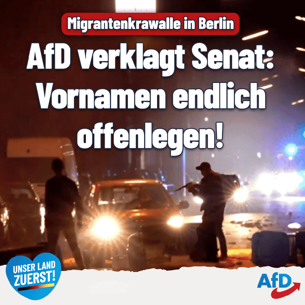 Bild: AfD Deutschland