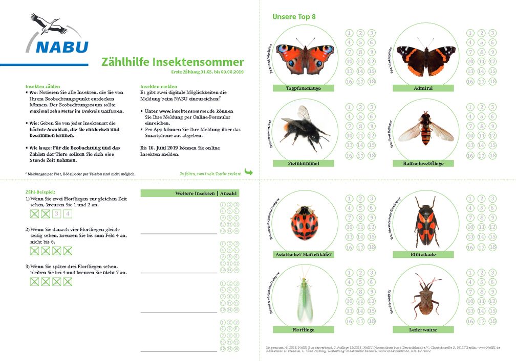 Zählhilfe für den Insektensommer - Foto: NABU