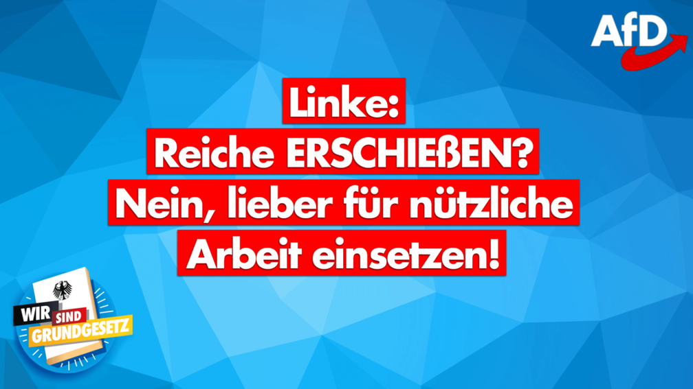 Bild: AfD Deutschland