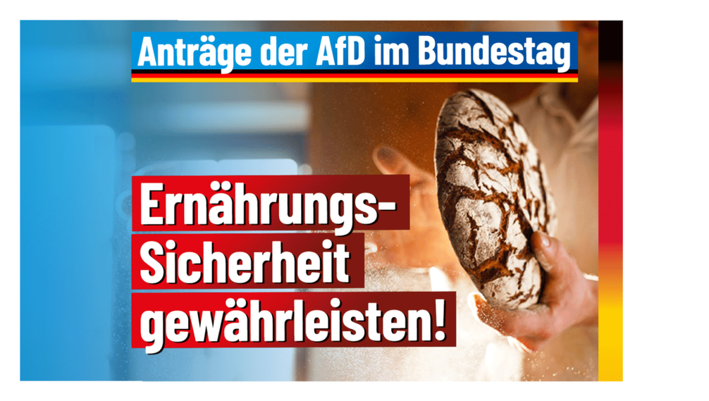 Bild: AfD Deutschland