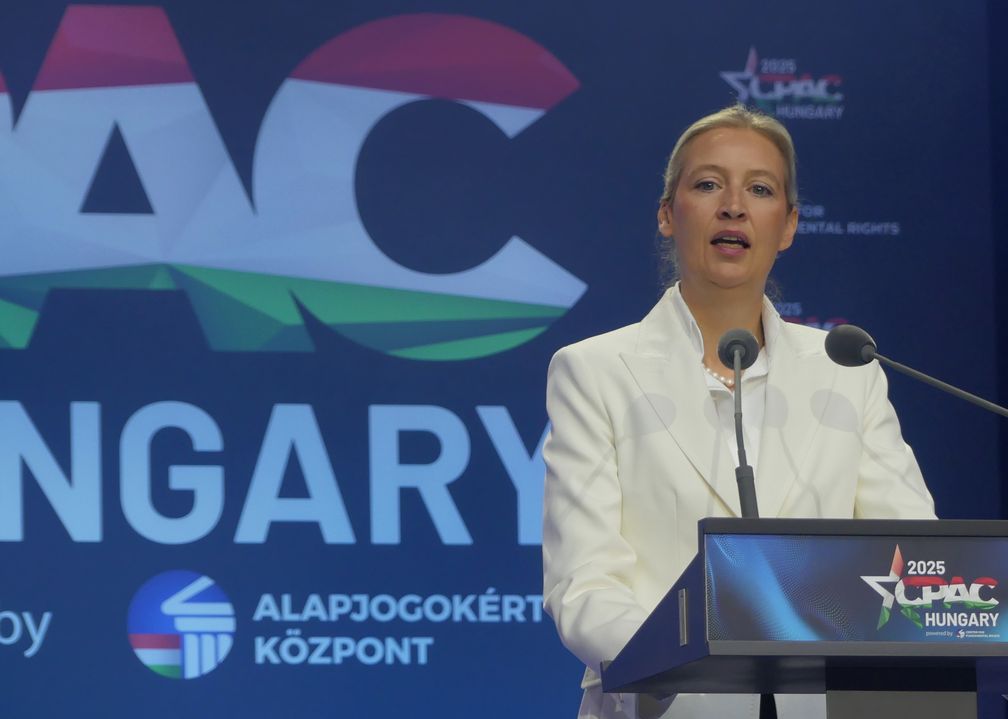 Dr. Alice Elisabeth Weidel (2025)
