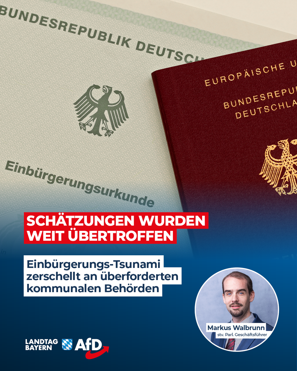 Bild: AfD Deutschland