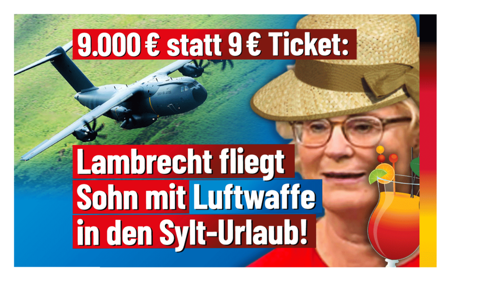 Bild: AfD Deutschland