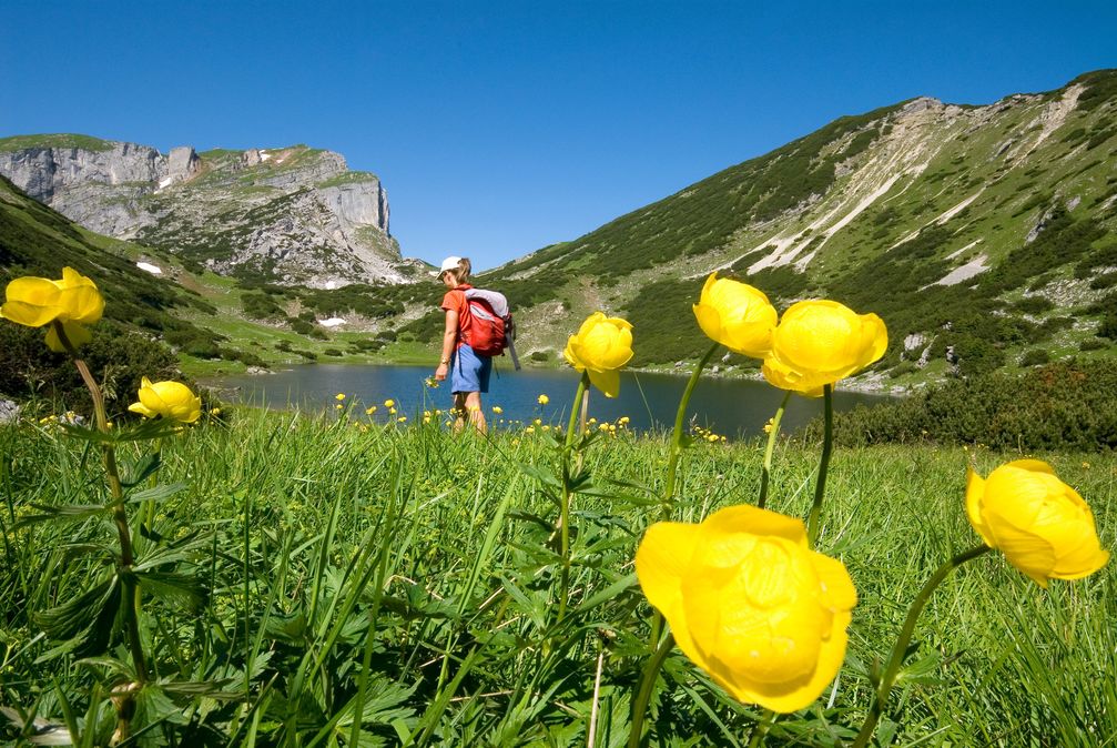 BILD zu OTS - Bergwandern macht Spaß und den Kopf frei. Die Region Alpbachtal Seenland hat für Wanderer, je nach Variante die passende Natur.