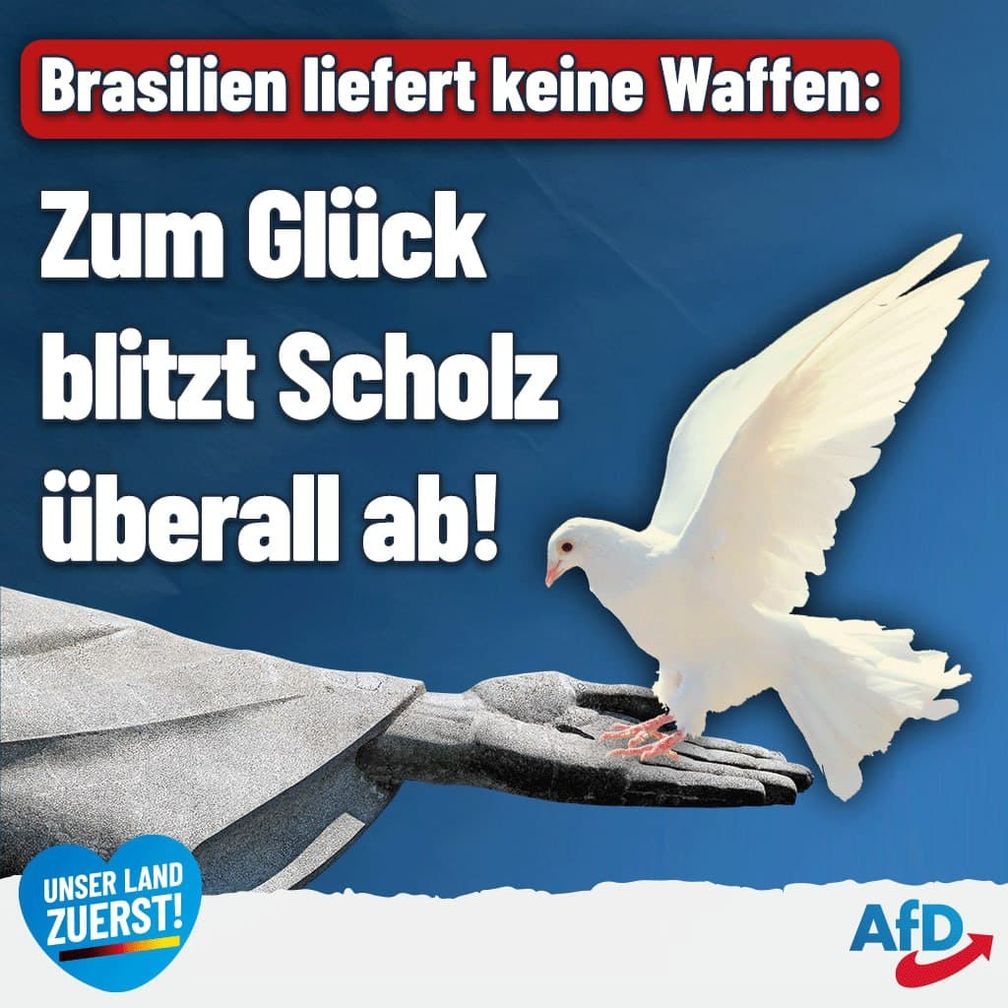 Bild: AfD Deutschland