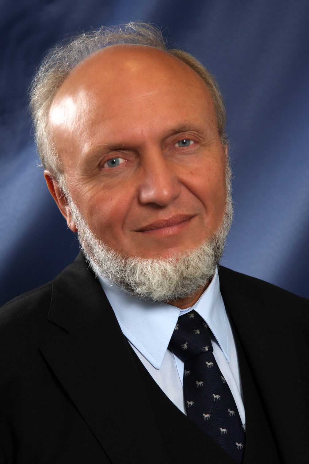 Hans-Werner Sinn (2012)