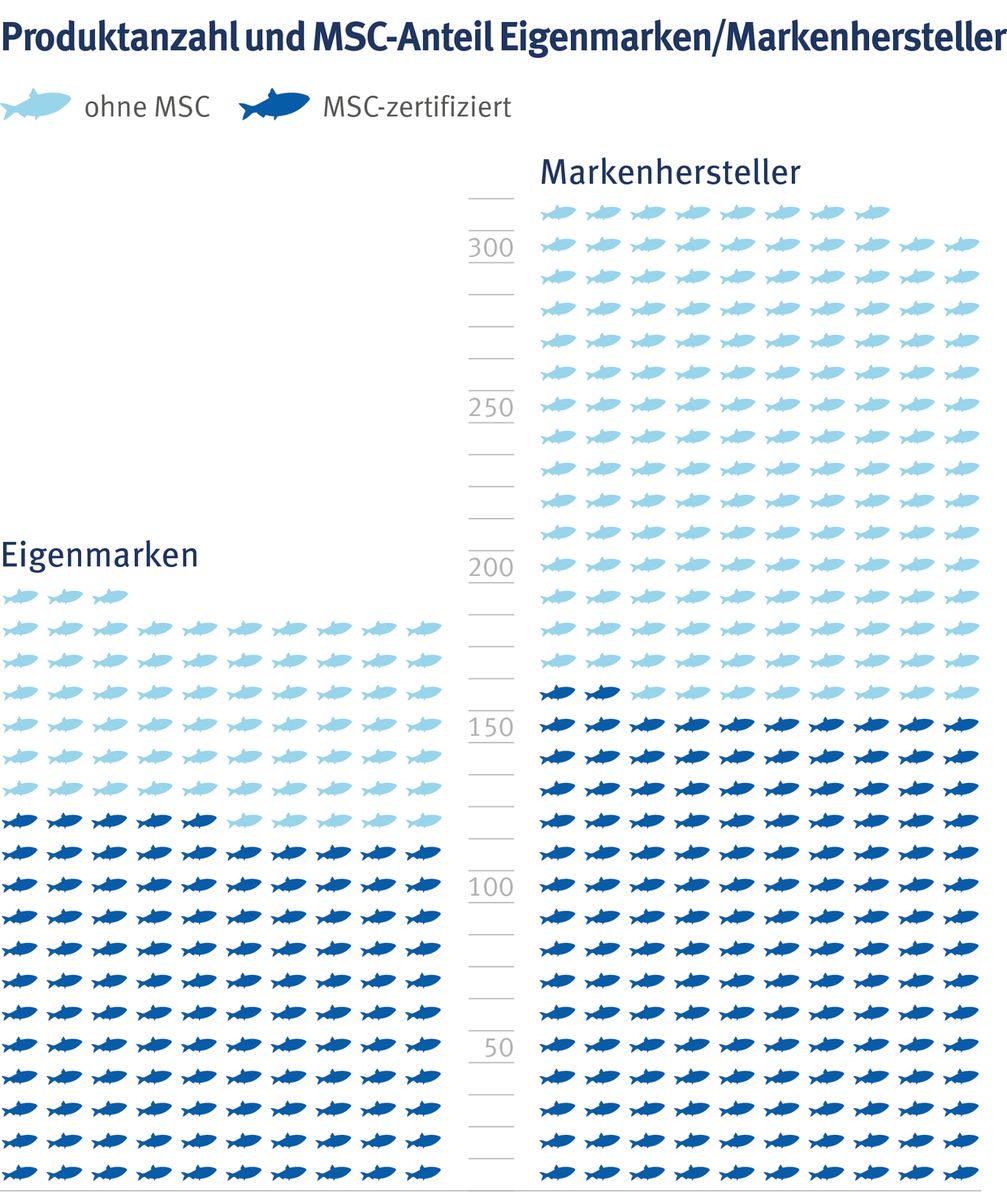 Bild: Marine Stewardship Council (MSC) Fotograf: Marine Stewardship Council (MSC)