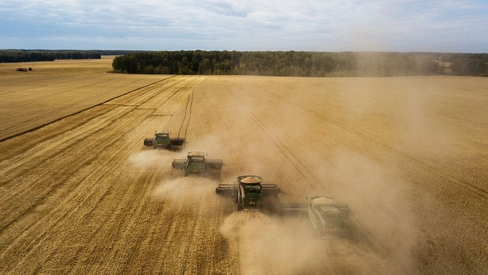 Mähdrescher bei der Weizenernte auf einem russischen Feld (Archivbild) Bild: Sputnik / Alexander Krjaschew