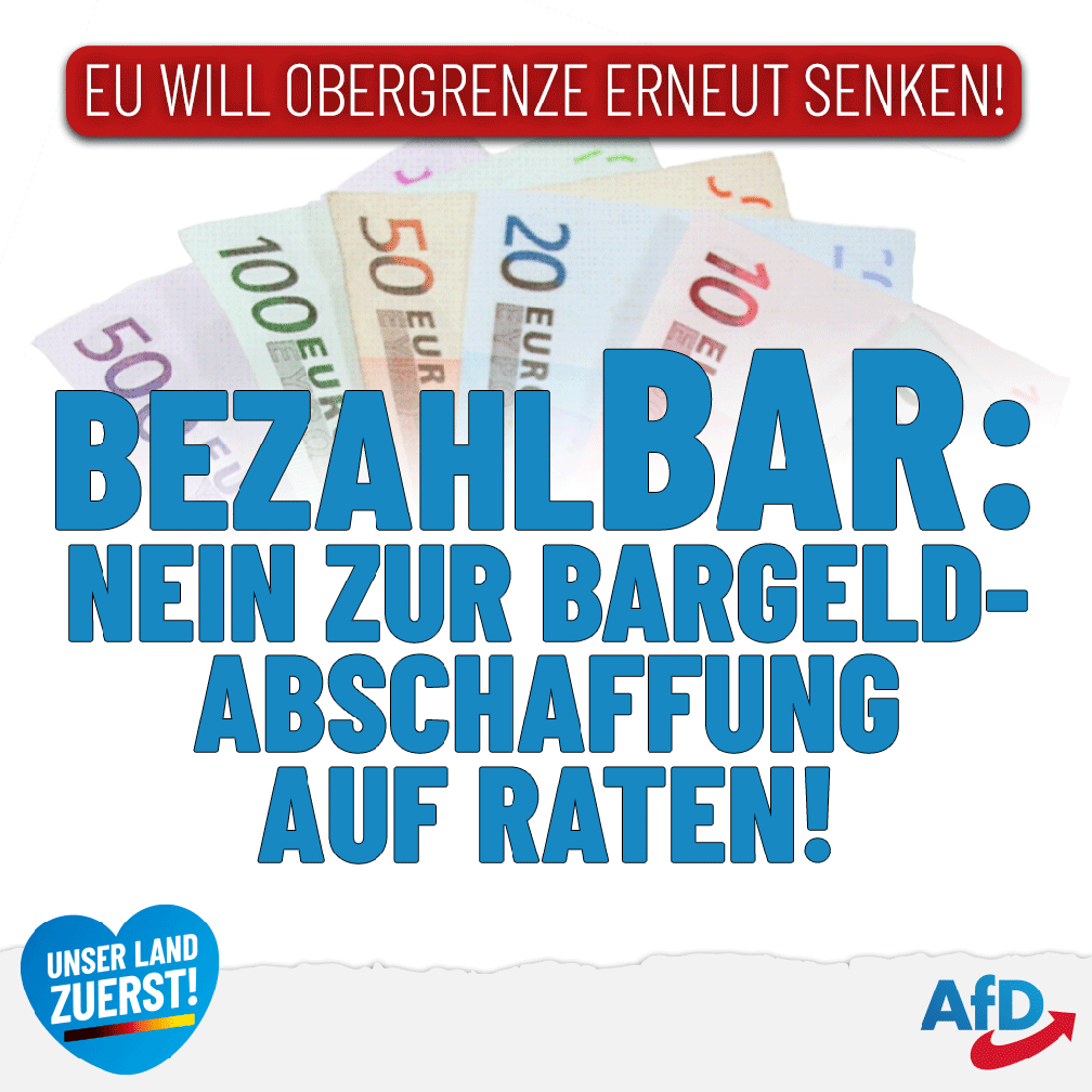 Bild: AfD Deutschland