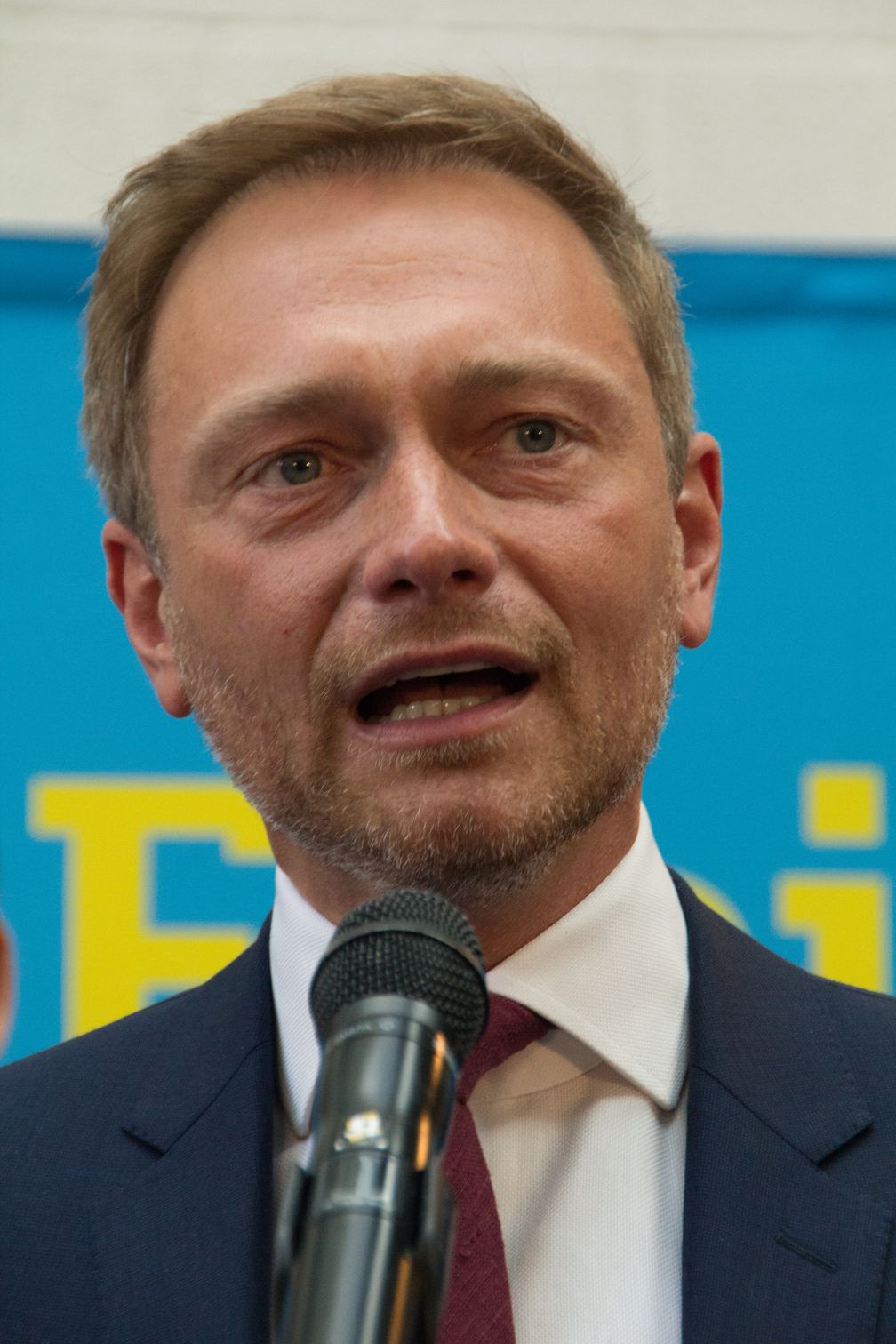 Christian Lindner (2017)