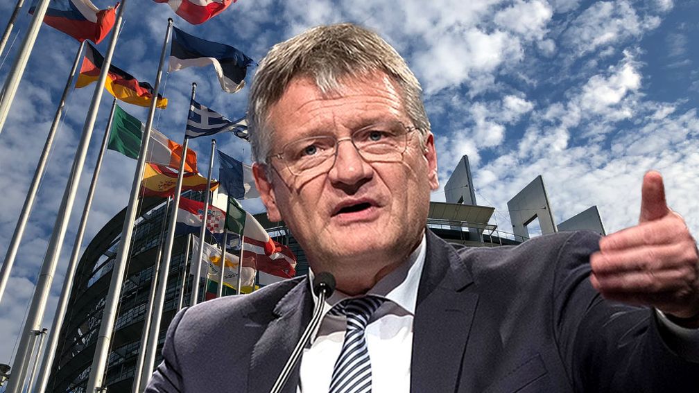 Prof. Dr. Jörg Meuthen  (2021)